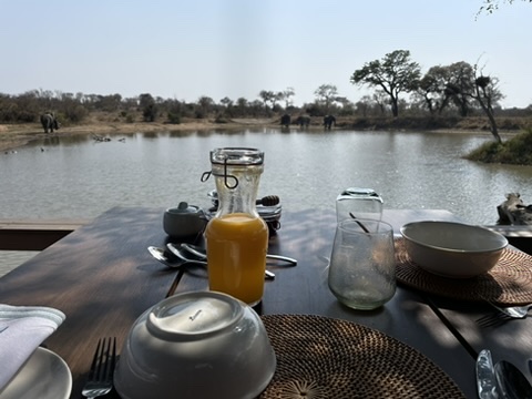 Timbavati Private Nature Reserve, South Africa